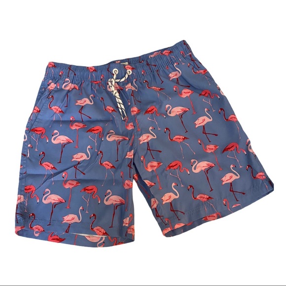 Other - Men’s Flamingo Swim Trunk